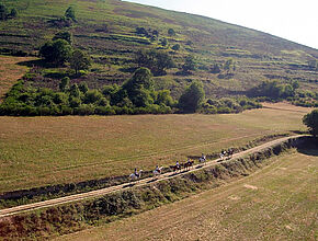 Agrandir l'image (fenêtre modale)