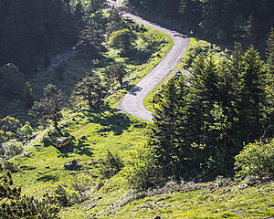 Agrandir l'image (fenêtre modale)
